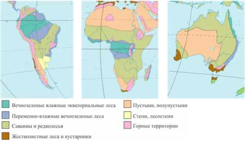 Северные материки природные зоны контурная карта