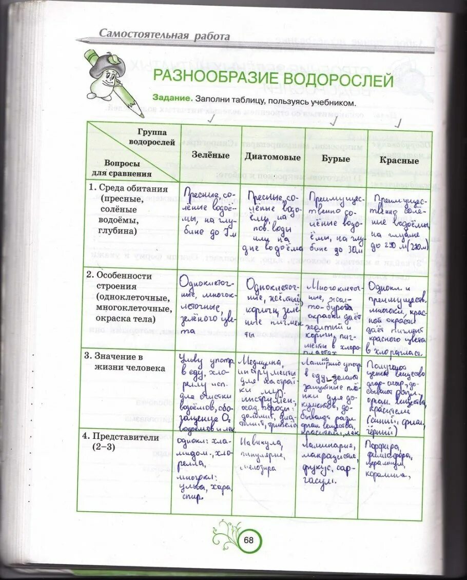 Многообразие водорослей 6 класс биология таблица. Таблица многообразие водорослей 5 класс биология. Таблица водоросли 6 класс биология. Таблица по биологии 6 класс водоросли.