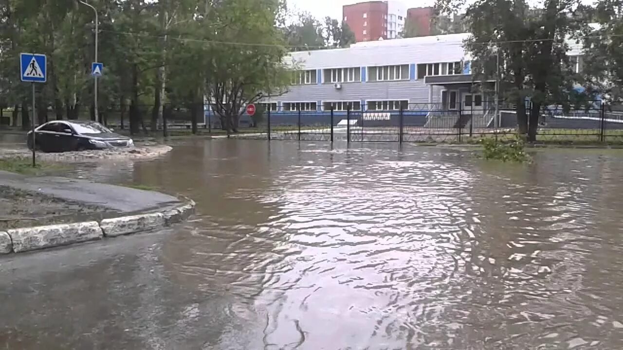 Школа 196 Новосибирск. Школа 196 Новосибирск учителя. Федосеева Новосибирск школа. Школа 196 Новосибирск фото. Сайт школы 196