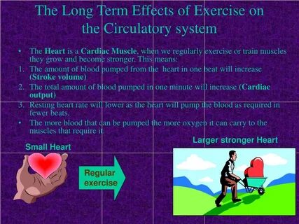 System exercise