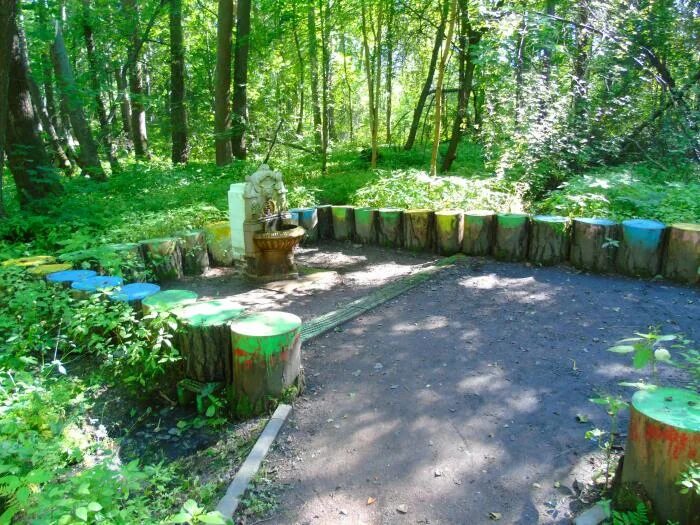 источник на тореза 102. родник петербург. водные родники в санкт петербурге. родник в спб. родник в спб.