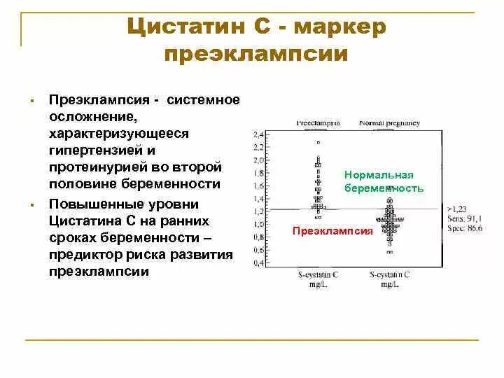 Цистатин с что это такое в крови. Цистатин с повышен. Цистатин с норма. Цистатин с скф. Цистатин с повышен.