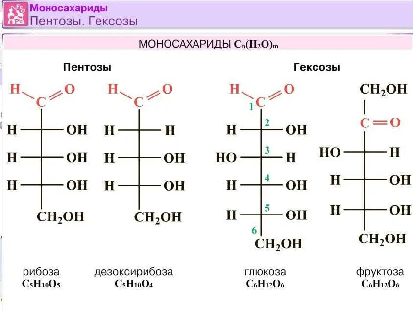 К моносахаридам относятся рибоза. Моносахариды с альдегидной группой. Моносахариды строение молекулы Глюкозы. Структурные формулы моносахаридов. Гидролиз углеводов моносахаридов.