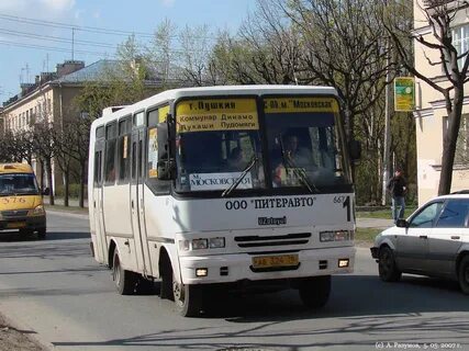 Автобус петербург павловск