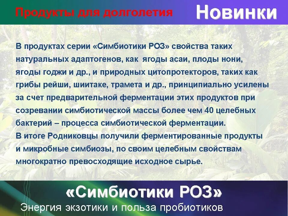 Симбиотики отзывы врачей. Симбиотики роз Родник здоровья. Шиитаке Родник здоровья. Симбиотики Кушунова. Симбиотики человек.