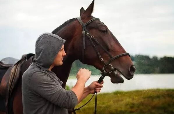 Конь с конюхом. Фотосессия в конюшне с лошадью. Лошадь в конюшне. Конюх в конюшне. Конюх с лошадью.