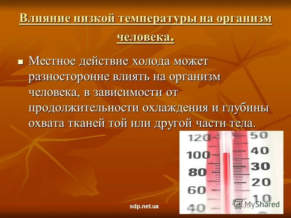 Изменение температуры воздуха приводит к. Воздействие низких температур на организм. Температура. Воздействие низких температур на человека. Действие низких температур на организм человека.