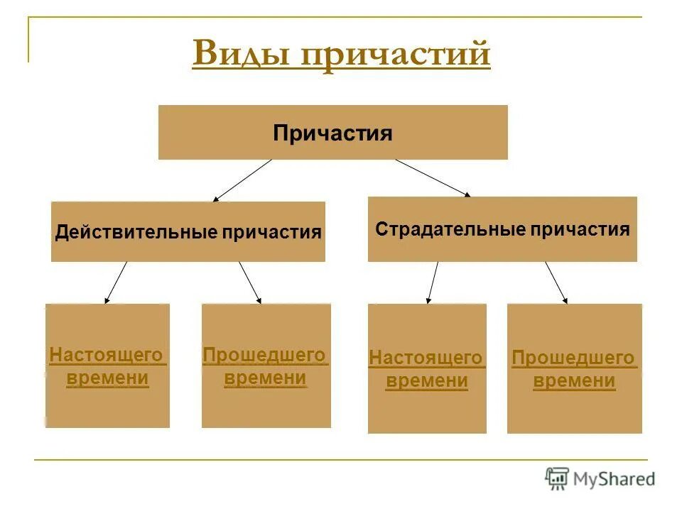 Вид и форма причастий. Виды причастий. Как определить вид причастия. Причастие виды причастий.