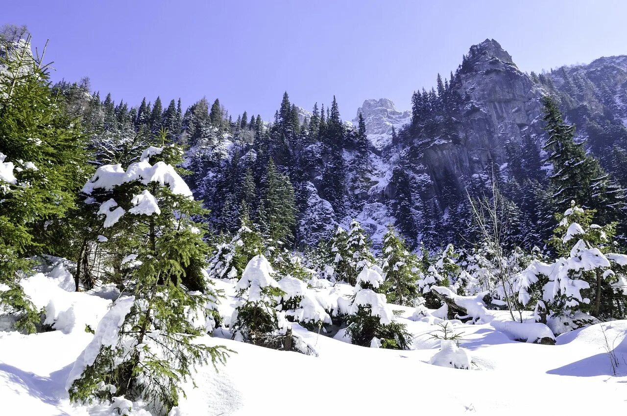 Зимний горный ландшафт. Иней горы. Холодный декабрь. France Forests in December.