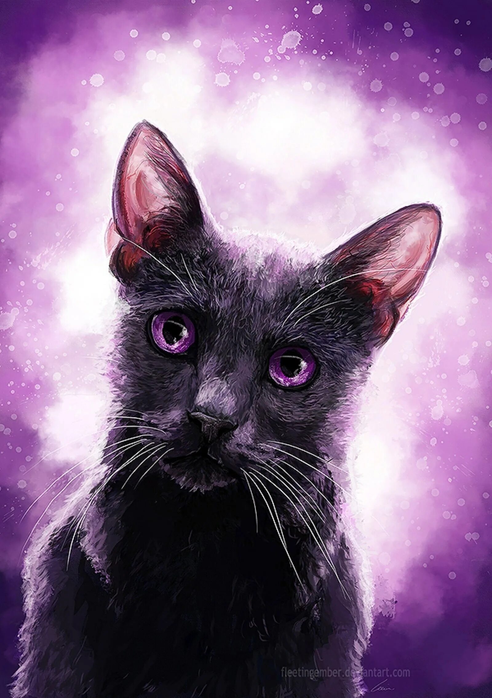 Фиолетовая кошка. Кот с фиолетовыми глазами. Кошка арт. Кошка с фиолетовыми глазами. Черно розовую кошку