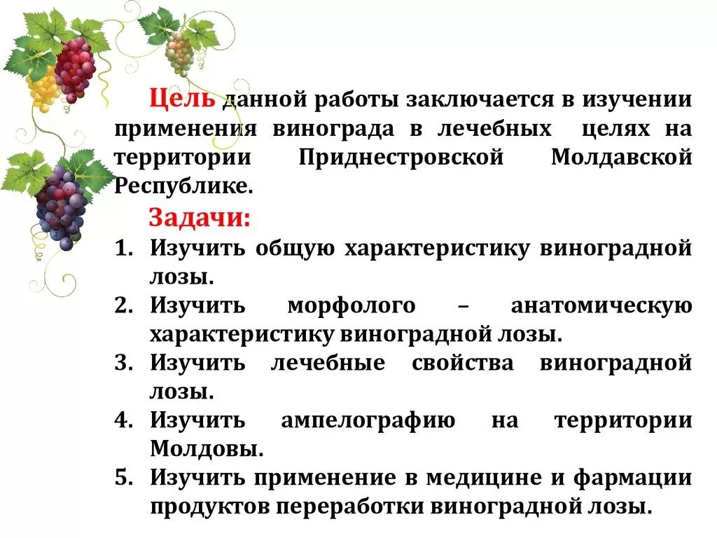 Виноград зеленый польза. Чем полезен виноград. Виноград польза. Чем полезен виноград для организма. Виноград полезен для организма.