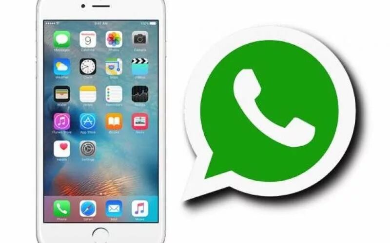 Как сделать синий ватсап. Иконка ватсап айфон. значки whatsapp на айфонах. ватсап логотип на айфоне. значок вотсапа на айфоне.