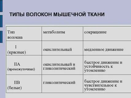 Волокна 1 типа