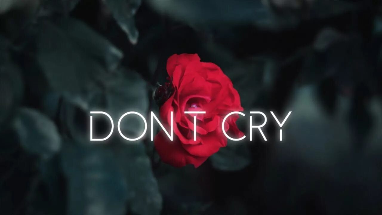 Слово dont. Don t Cry. Don't Cry надпись. Don't Cry фото. Don't Cry don't Cry don't Cry.