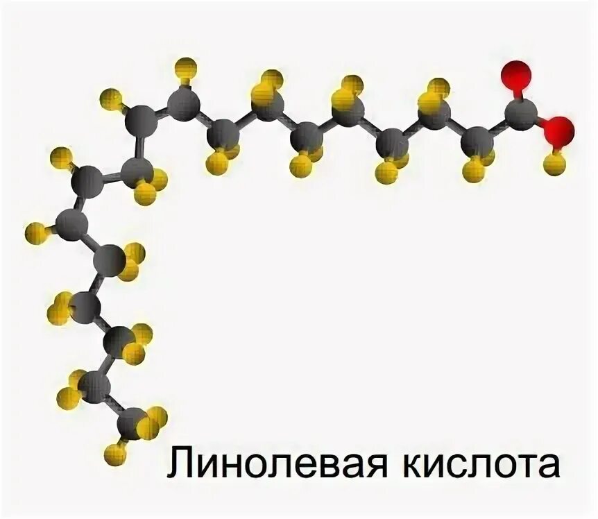 Альфа линолевая кислота. Омега 6 линолевая кислота. Гамма-линоленовая кислота. Линолевая и линоленовая кислоты.