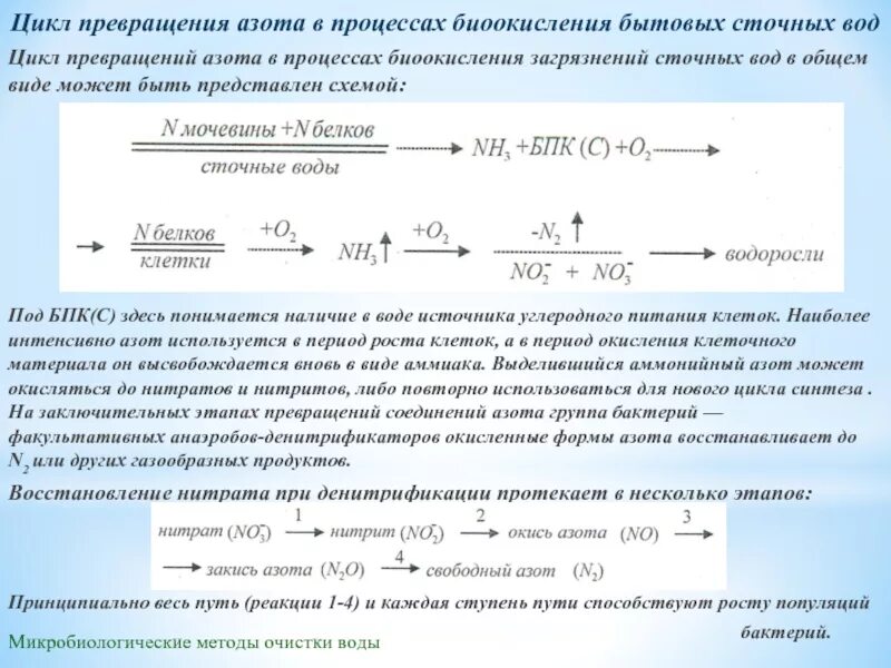 Азот общий в сточных Водах что это. Азот аммонийный в сточных Водах это. Цикла превращений соединений азота. Расчет общего азота в сточной воде.