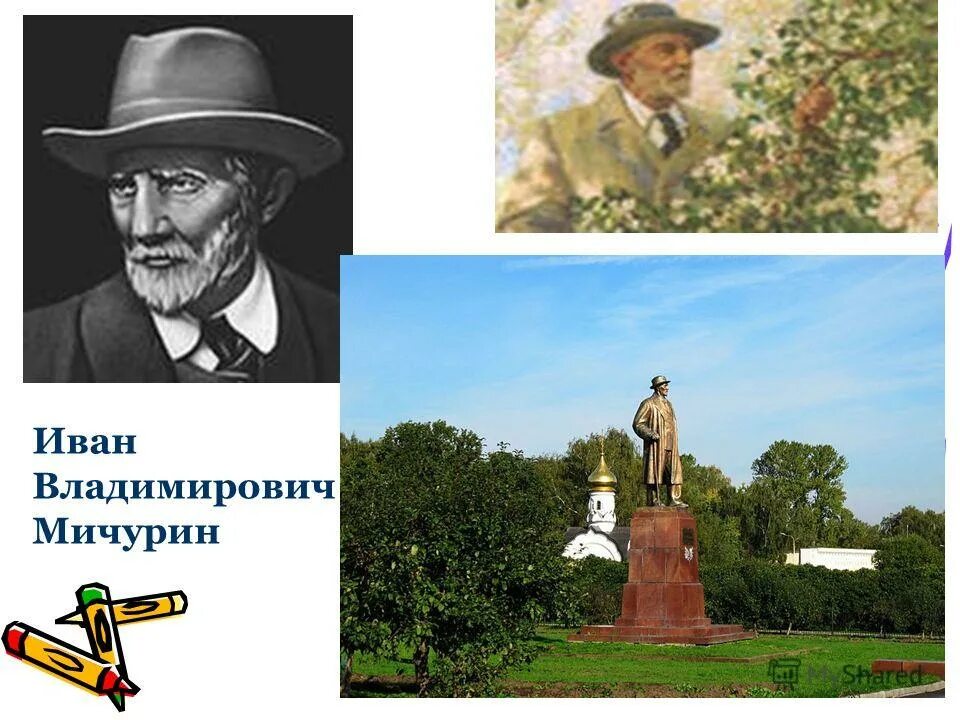 Мичурин проспект. Мичурин ученый. мичурин биолог.