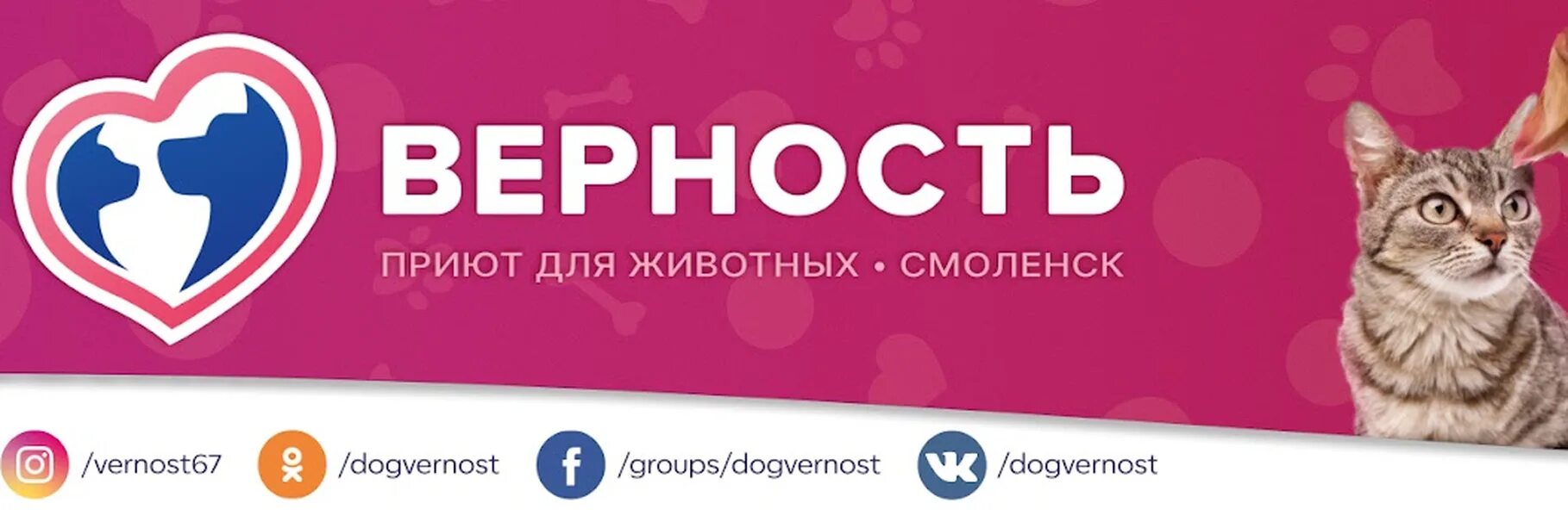 Приют для животных верность Смоленск. Приют верность Смоленск логотип. Приют верность Смоленск щенки.