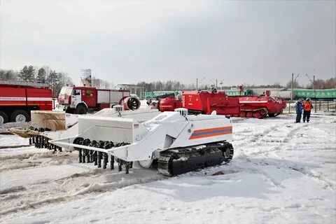 Сибирский сц