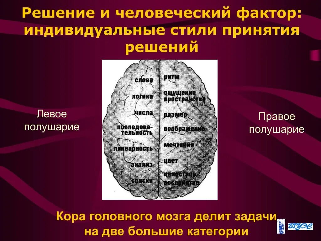 Группы человеческого фактора. Человеческий фактор. Индивидуальные стили принятия решений. Понятие человеческий фактор. Полушария мозга.