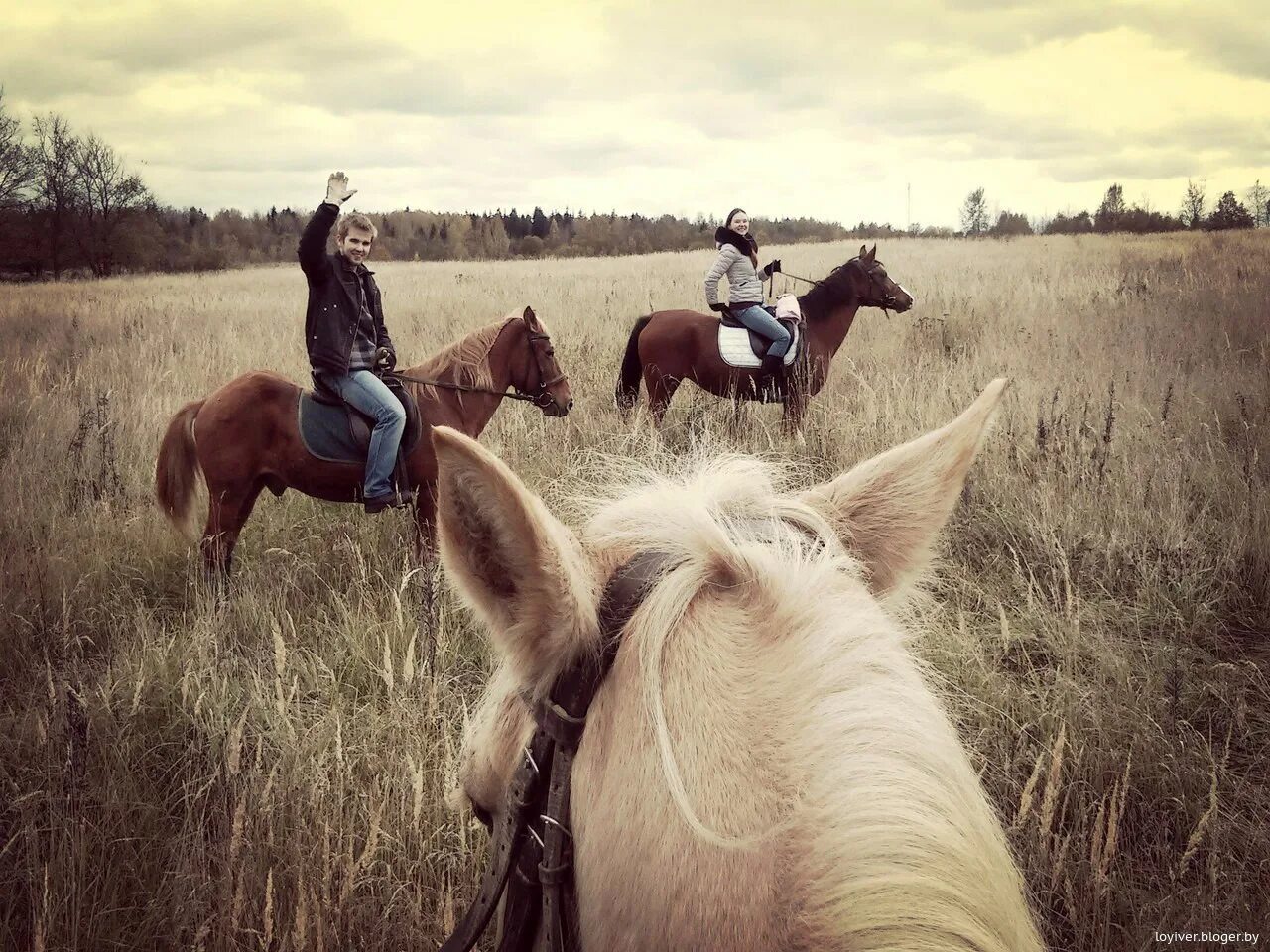 Выезд в поле. Верхом на лошади. Девушка верхом на лошади. Девушка на лошади со спины. Парень на лошади со спины.