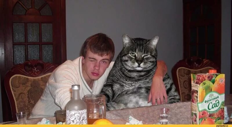 Мем парень с котом Pin by tracy parker on Funny Funny jokes, Funny memes, Funny pictures