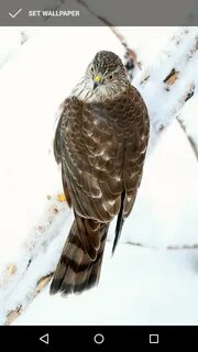 Натуристтік қара фотосуреттер