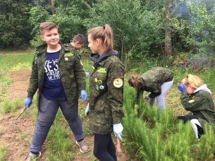 Михайловское лесничество