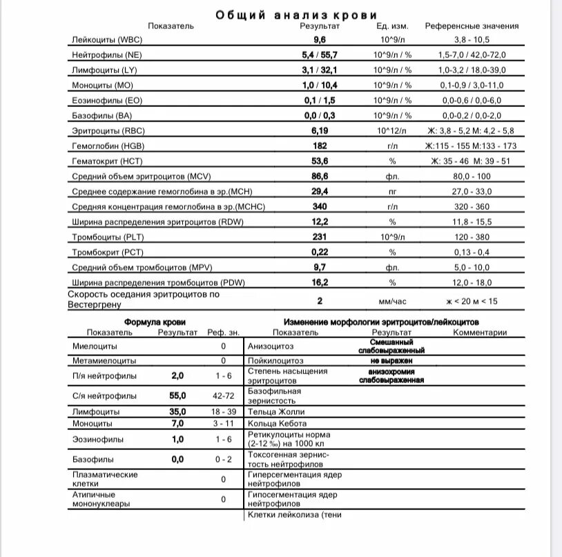 Мор анализ. Общий анализ крови мор. Мор анализ крови расшифровка. Как выглядит результат анализа на мор.