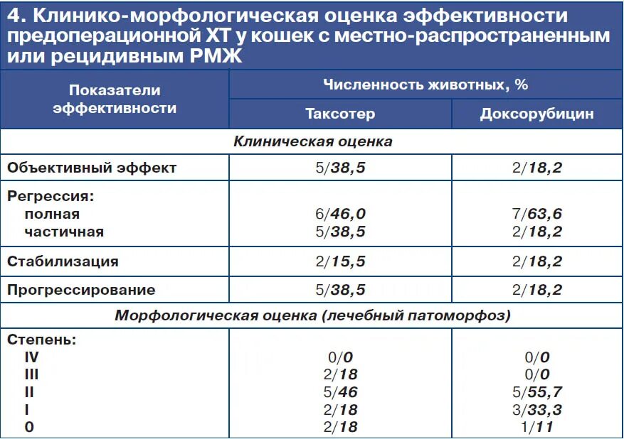 Протоколы химиотерапий у животных. Протоколы химиотерапии собак. Предоперационная химиотерапия. Препараты для химиотерапии у собак.