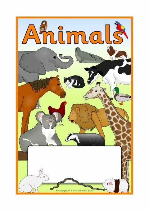 Animals edit. Taschen animals книги. topic animals 4 класс. charity book with animals life. student book topic mammals.