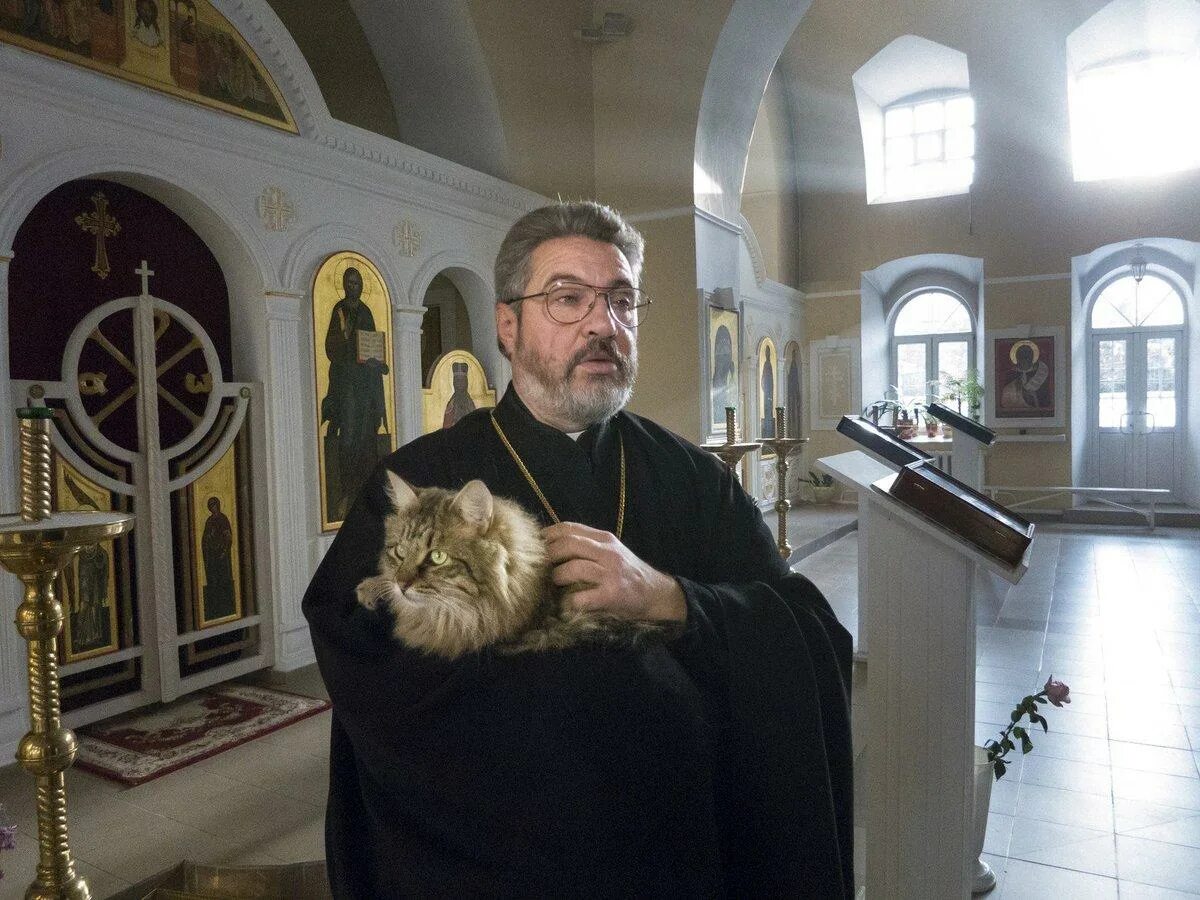 Можно заходить в церковь в брюках. Кот в православном храме. Кошка в храме. Священники и животные.