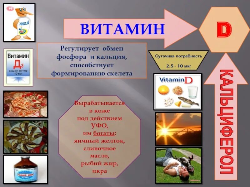 Какой витамин регулирует всасывание кальция и фосфора. Что регулирует витамин д. витамин д это кальций и фосфор. что регулирует витамин с. взаимосвязь кальция и витамина д.