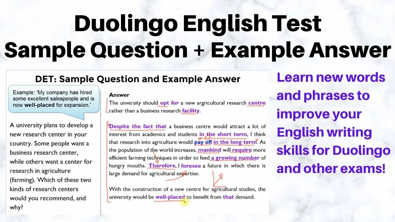 Answer essay questions