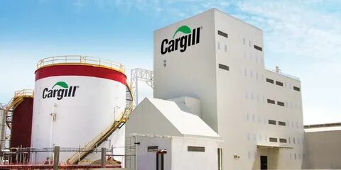 Feed plant