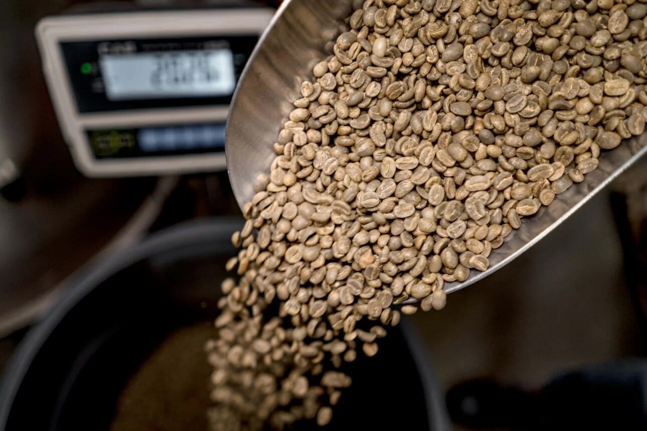 зерновой кофе в мешках. транспортировка кофе мешки. кофе в зернах и в капсулах. кофе оптом. зерно рубли.