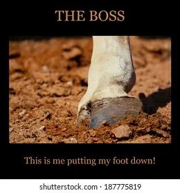 Put my foot down
