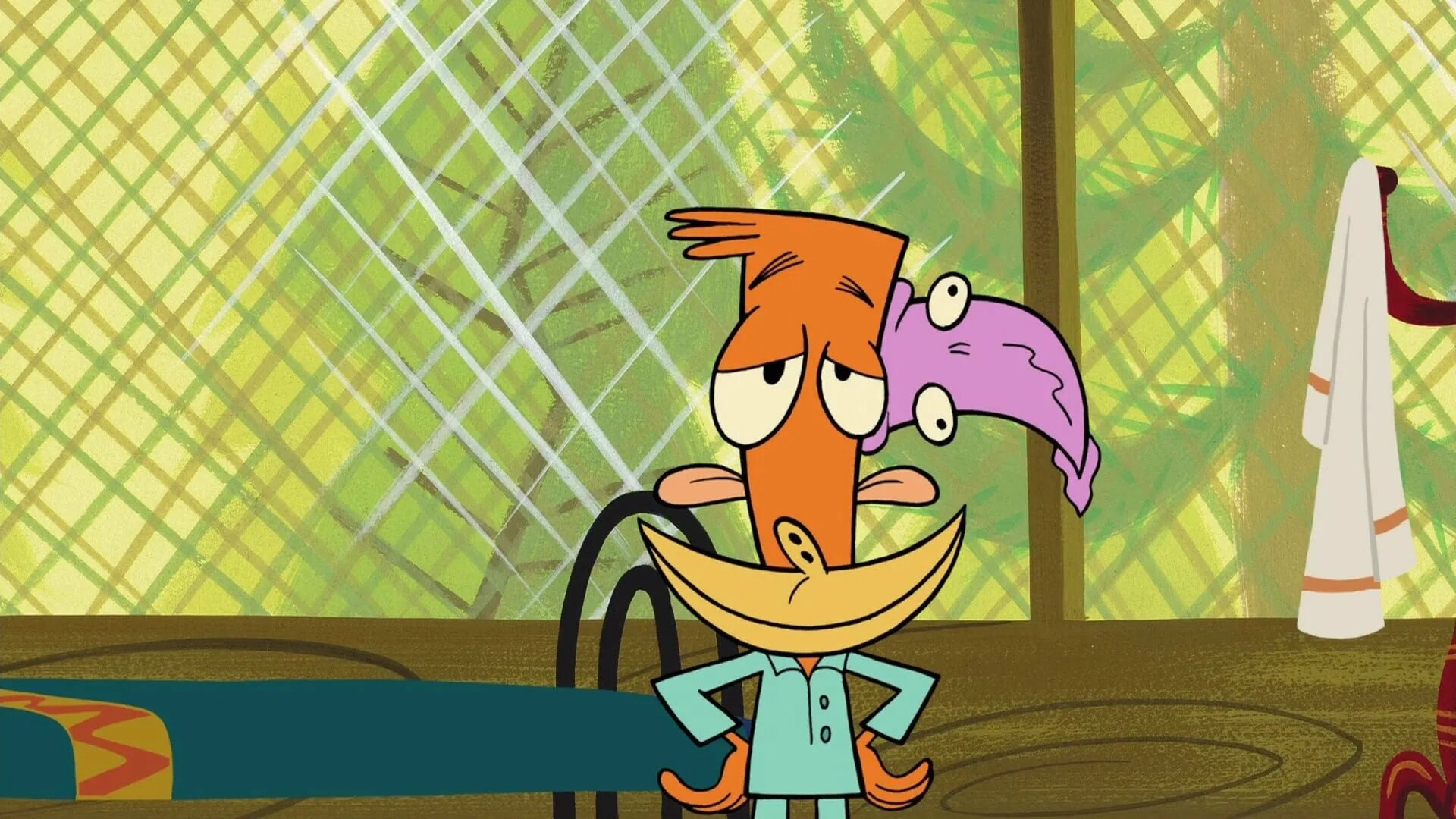 Camp lazlo