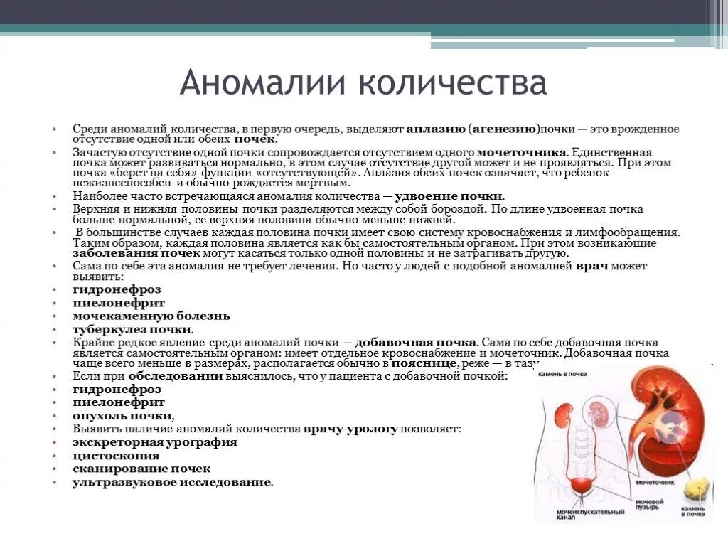 Сколько весила почка. Аномалии строения почек классификация. Аномалии количества почек. Аномалии величины почек. Врожденные пороки почек.