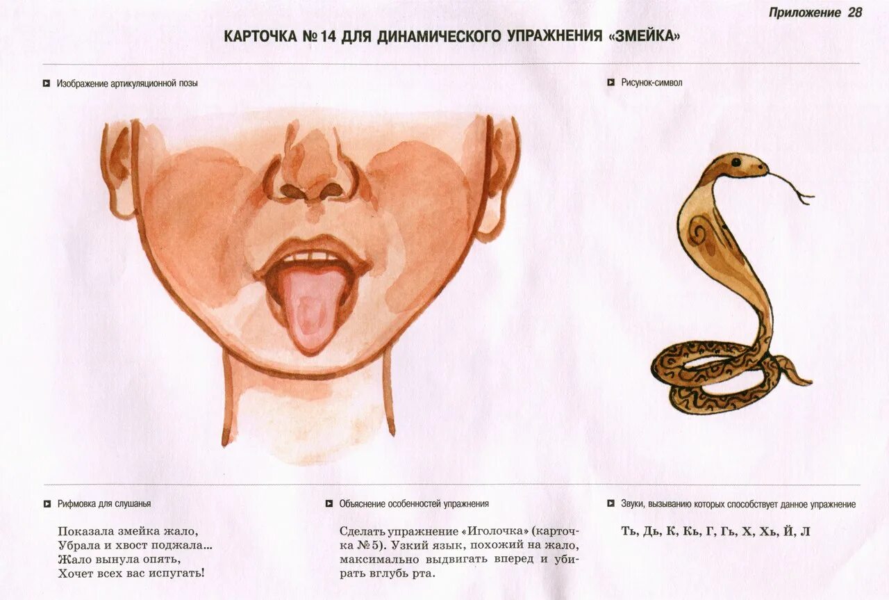 Язык жало. Язык жало. Артикуляционная гимнастика лопаточка иголочка. Язык жало. Упражнение змейка артикуляционная гимнастика.
