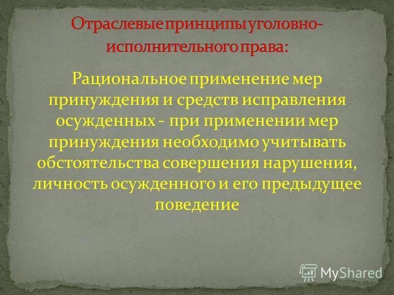 Рациональные меры принуждения. Принципы принуждения. Отраслевые принципы в уголовно-исполнительном законодательстве.