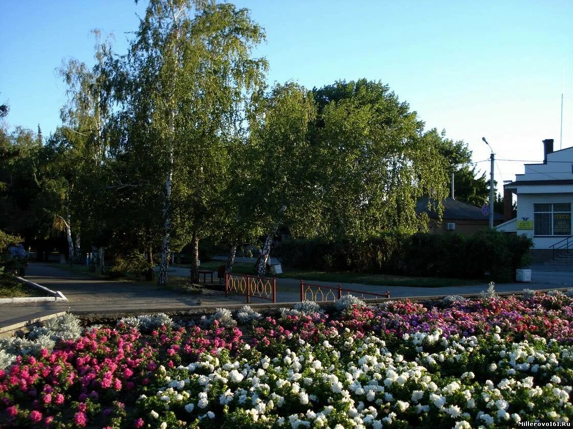 Миллерово ростовская область фото. Миллерово городской парк. город миллерово ростовская область. парк города миллерово ростовской области. миллерово аллея.