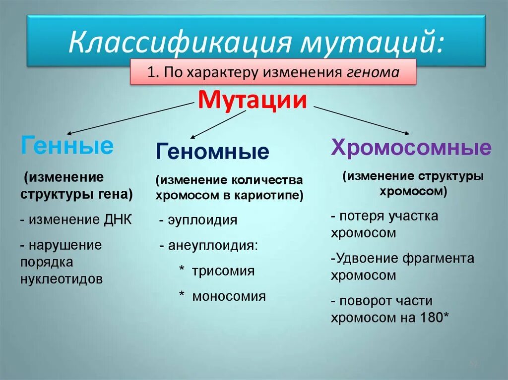 Стойкое изменение генотипа. Характеристика генной, хромосомной, геномной изменчивости.. Схема классификации мутаций хромосомные геномные. Генные геномные хромосомные мутации таблица примеры. Типы мутаций примеры изменчивости типы мутаций причины мутаций.