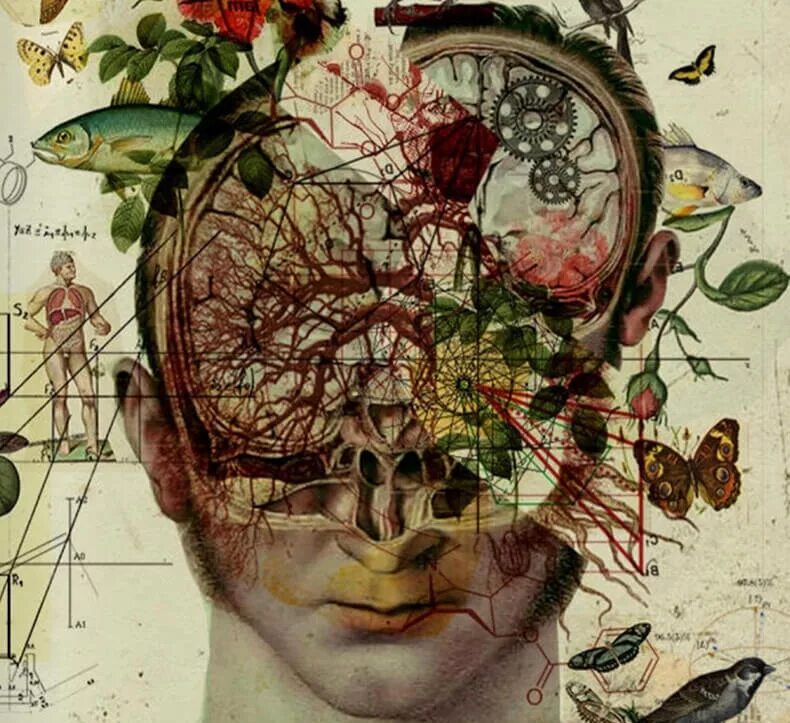 Мозг живопись. Образы в голове. Мозг картина. Картина голова.