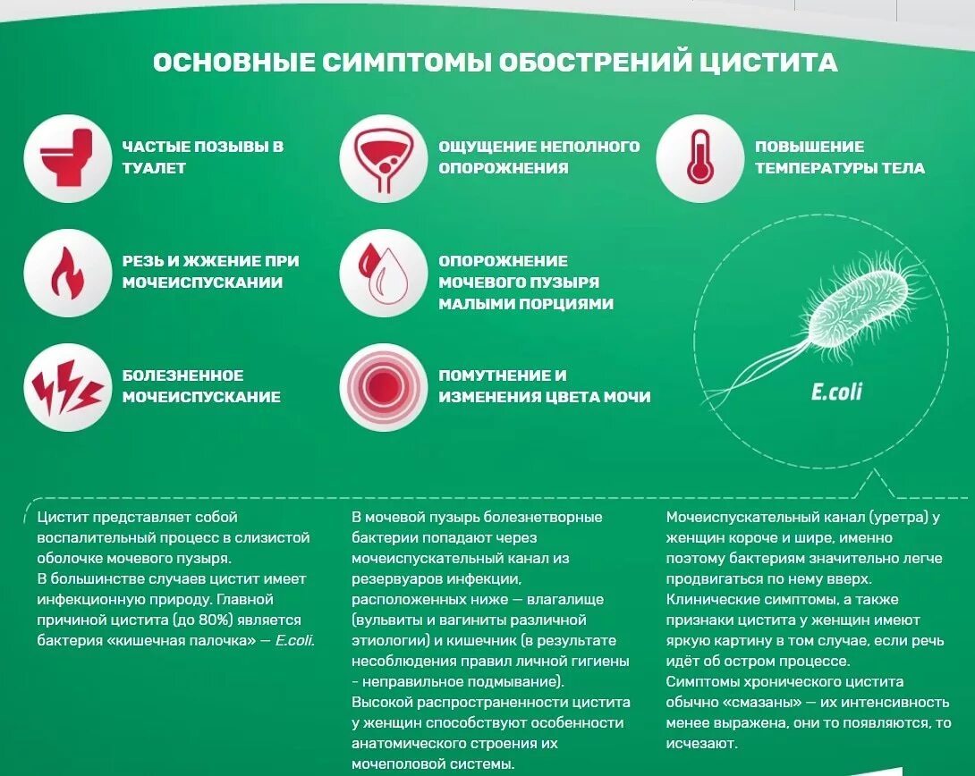 Симптомы цистита отзывы. Признаки цистита. Симптомы цистицистита. Основные симптомы цистита.