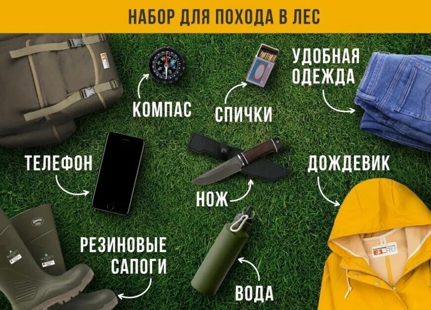 Не с кем идти в поход. Вещи для похода в лес. необходимые вещи в лесу. необходимое в походе. необходимые вещи для похода в лес.