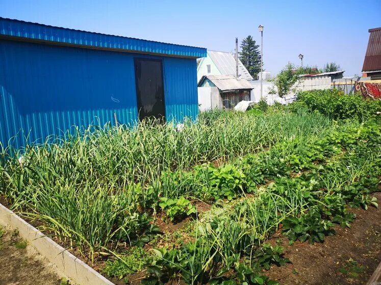 9 км велижанского тракта. 9 км велижанского тракта. снт тополек 9 км велижанского тракта. продажа дач в ягодном. пустой участок огороженный профлистом перспектива прямо.