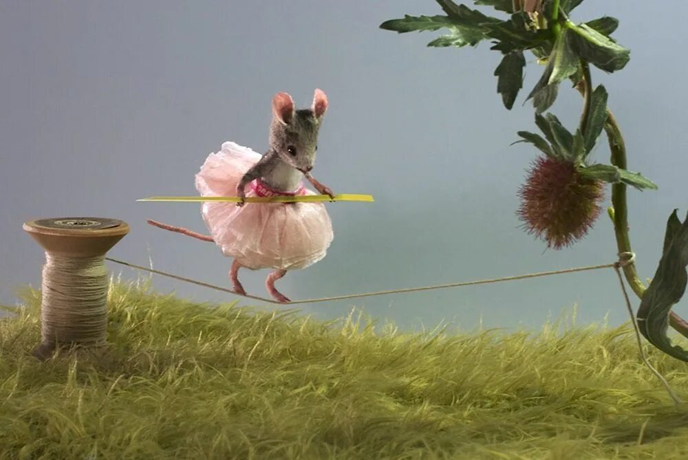 She was a mouse. Мышонок прыгает. Мышь в прыжке. Мышонок Строитель. Мэгги Руди и её Мышиная Страна.
