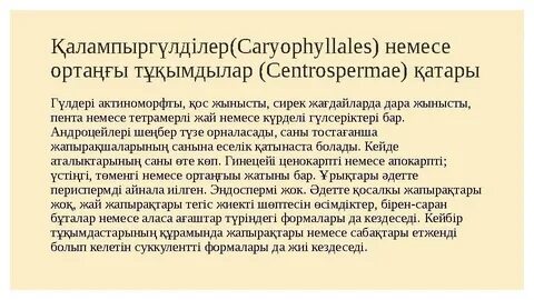 Анасы мен қызы күйеу баласын ебет онлайн