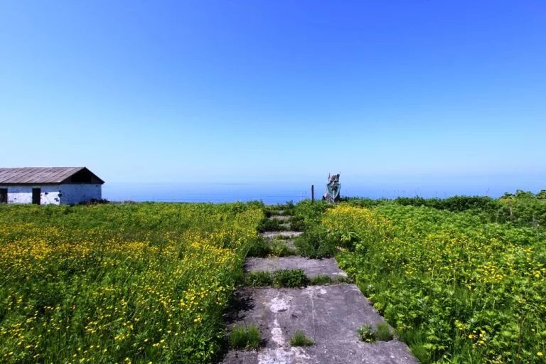 застава сахалин. остров,сахалин,г,южно,сахалинск,в,ч,2067. сахалин вч 2067. вч 2067 южно сахалинск. погранзастава южная сахалин.